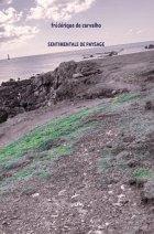 SENTIMENTALE DE PAYSAGE - propos2editions