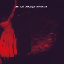 C'est vous la musique maintenant/Jacques Allemand